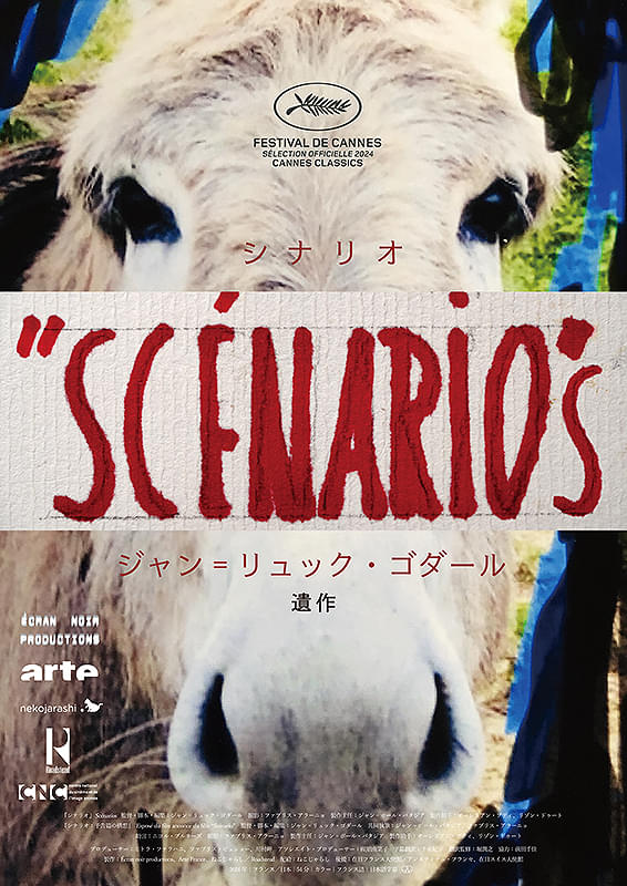 映画『シナリオ』『シナリオ 予告篇の構想』新たな時代の扉を開ける