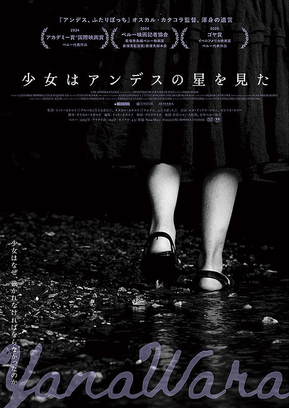 映画『少女はアンデスの星を見た』夜空から優しく見守っている